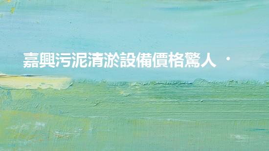 嘉興污泥清淤設備價格驚人！為何如此昂貴？